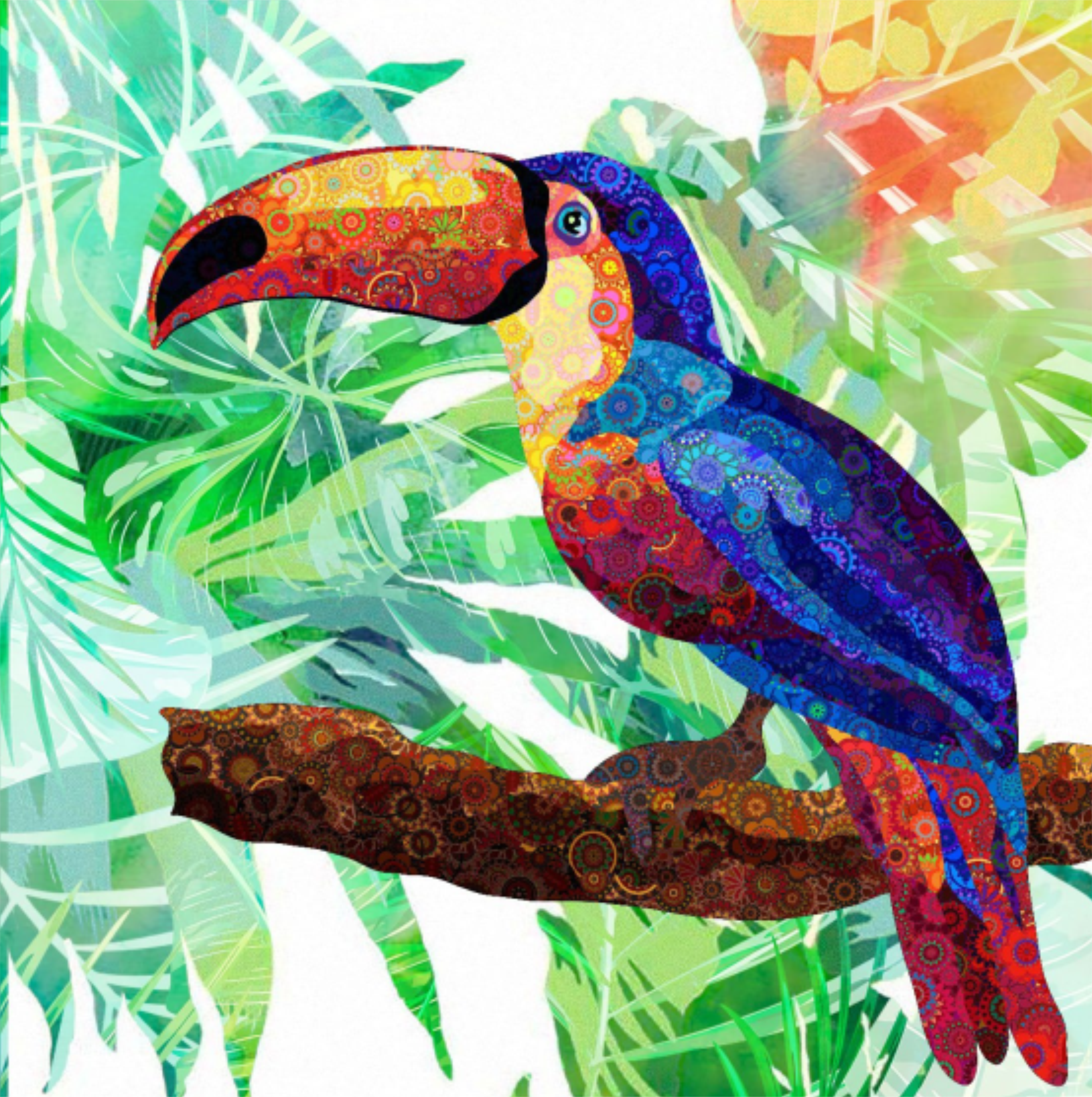 02/05 – Tucano (Marina Landi)