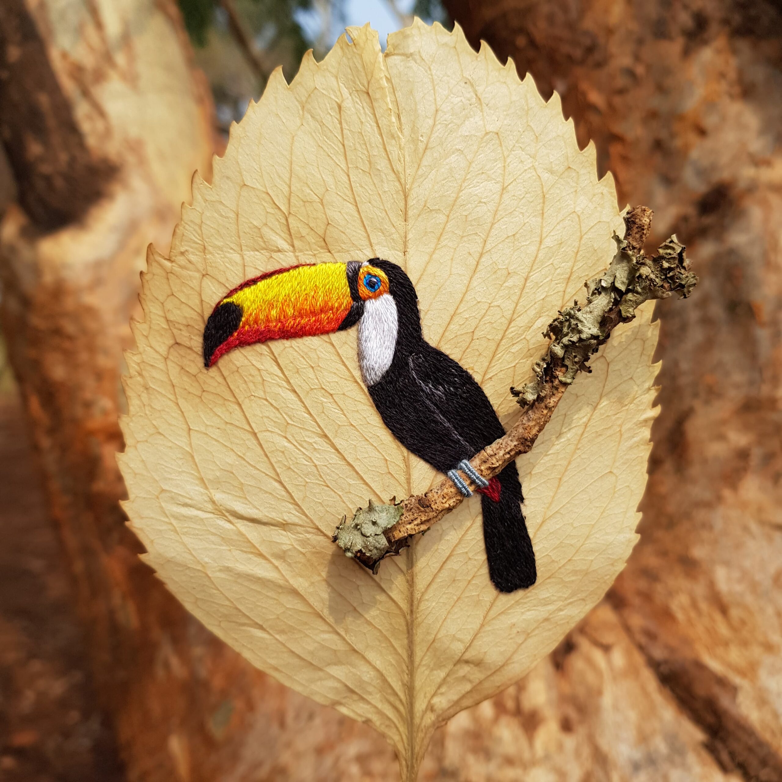 03/05 – Tucano Toco (Alan Vilar)