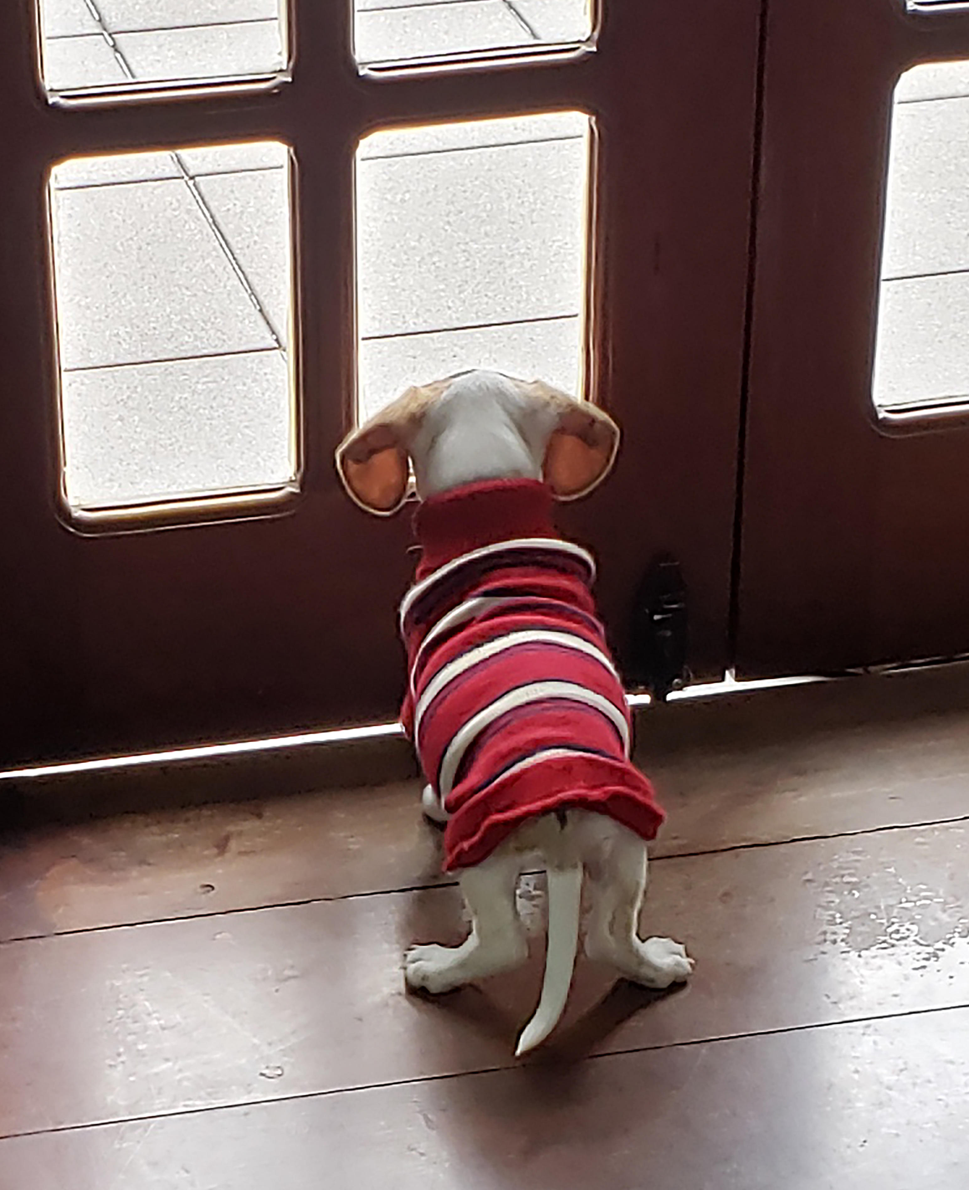 22/04 – CRIANDO QUILTS COM IA (MARINA LANDI) - Imagem 5